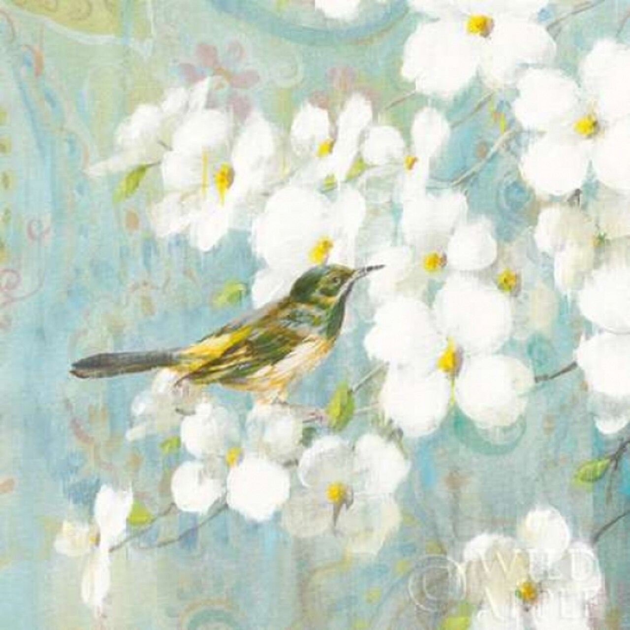 Spring Dream V Poster Print by Danhui Nai - Item # VARPDX24929